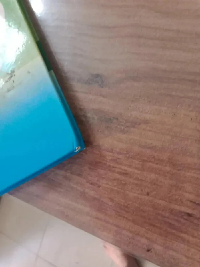 Lot de 2 livres pour enfants - photo numéro 6