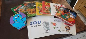 Livres pour enfant zou pirates bambi