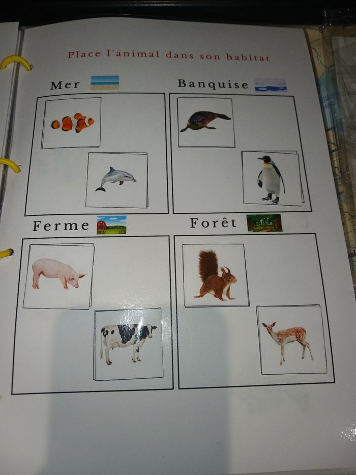 Livret d'activités - photo numéro 6