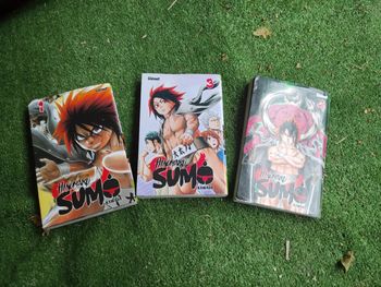 Hinomaru tomes 1,3,4