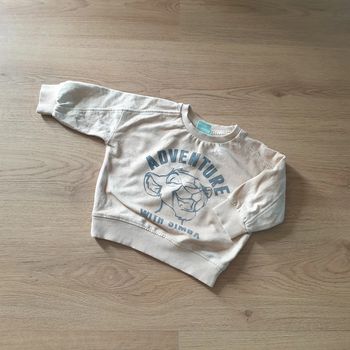 💚 Sweat 12 mois Simba Disney #emyfleury_12moisgarçon