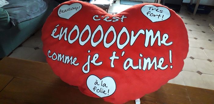 Coussin - photo numéro 2