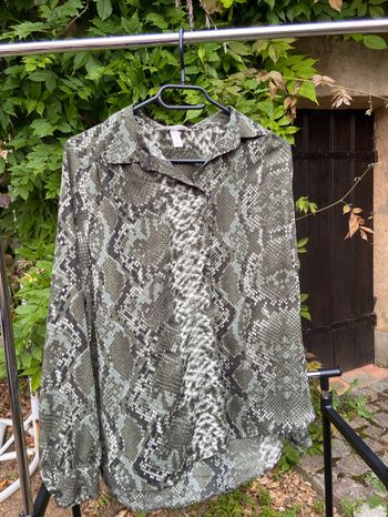 Chemise python