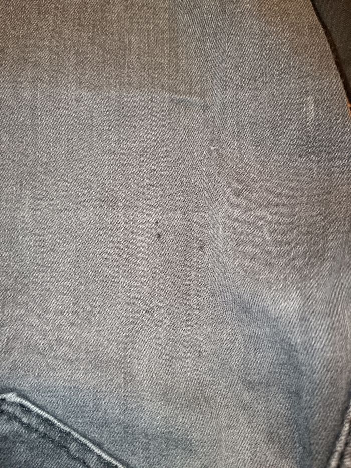 Lot pantalon - photo numéro 4