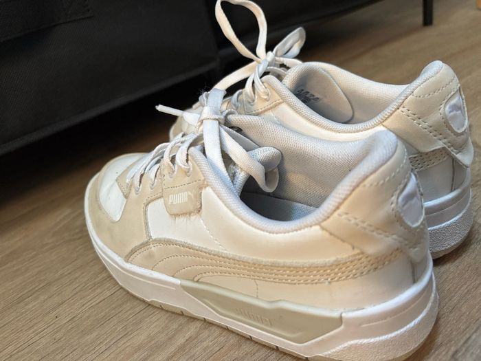 Basket Puma