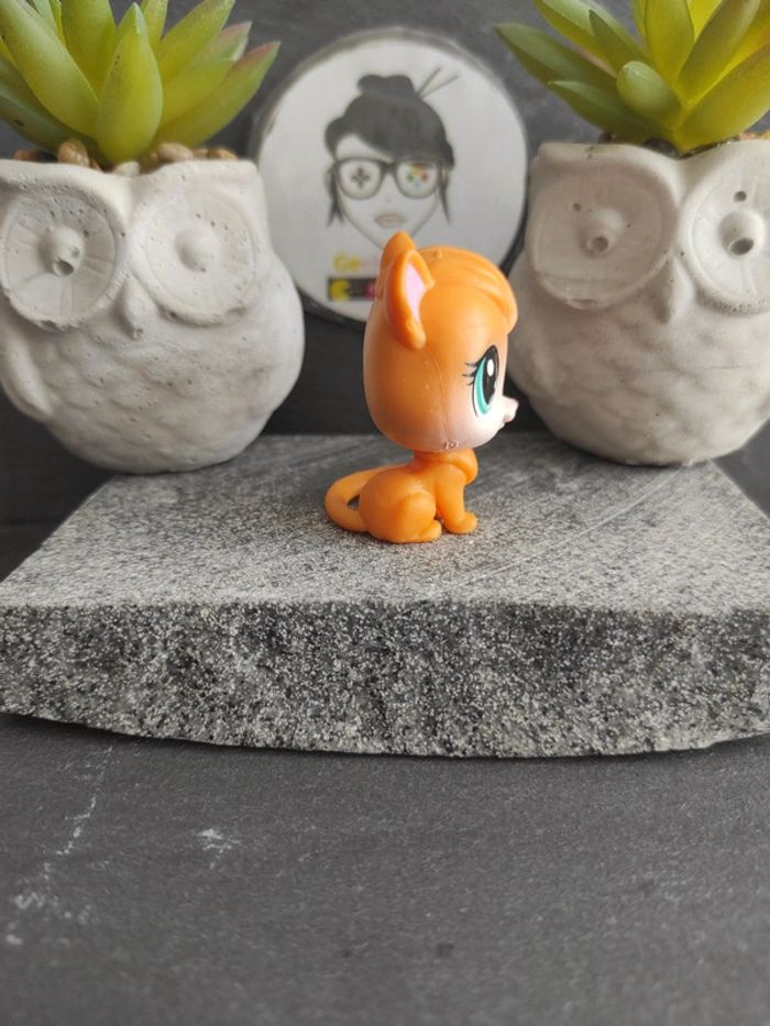 Littlest Petshop LPS Pet Shop main coon NN 67 cat maincoon #geektradelpschat - photo numéro 2