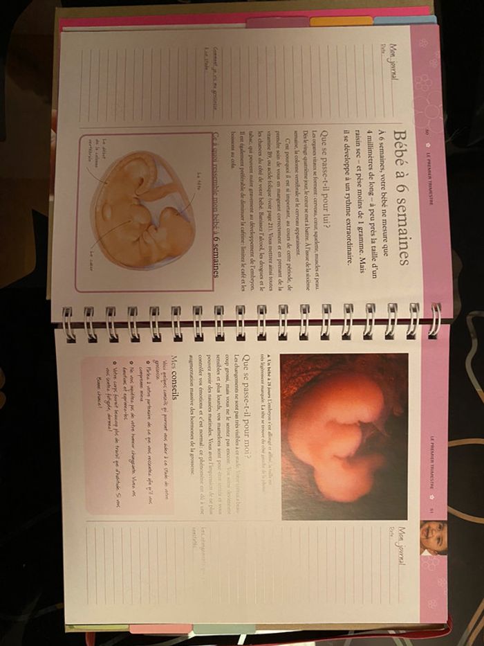 La 1ère année avec mon bébé - photo numéro 3