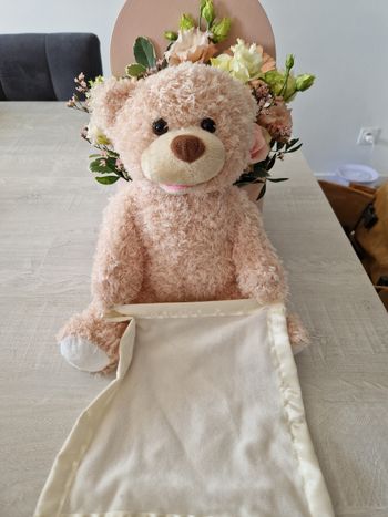 Oursons peluche