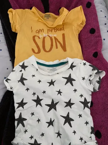 Lots de 2 t shirts petit garçon