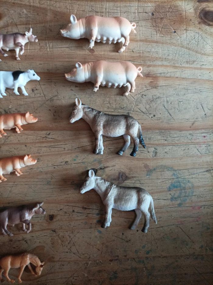 Animaux de la ferme - photo numéro 2