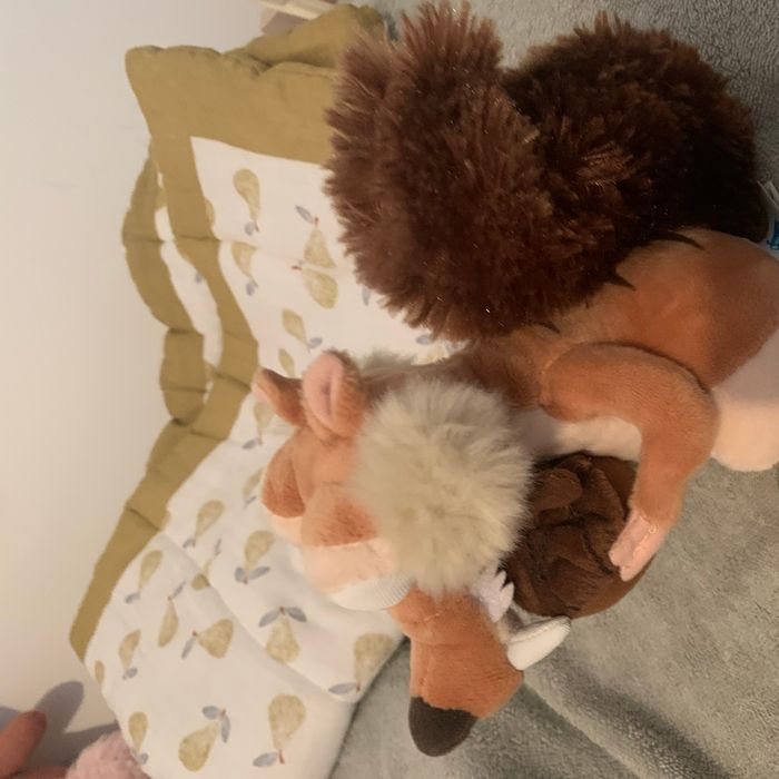 Peluche - photo numéro 2