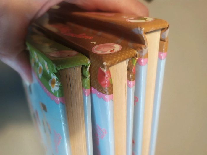 Lot 3 livres bébé Fleurus - photo numéro 3