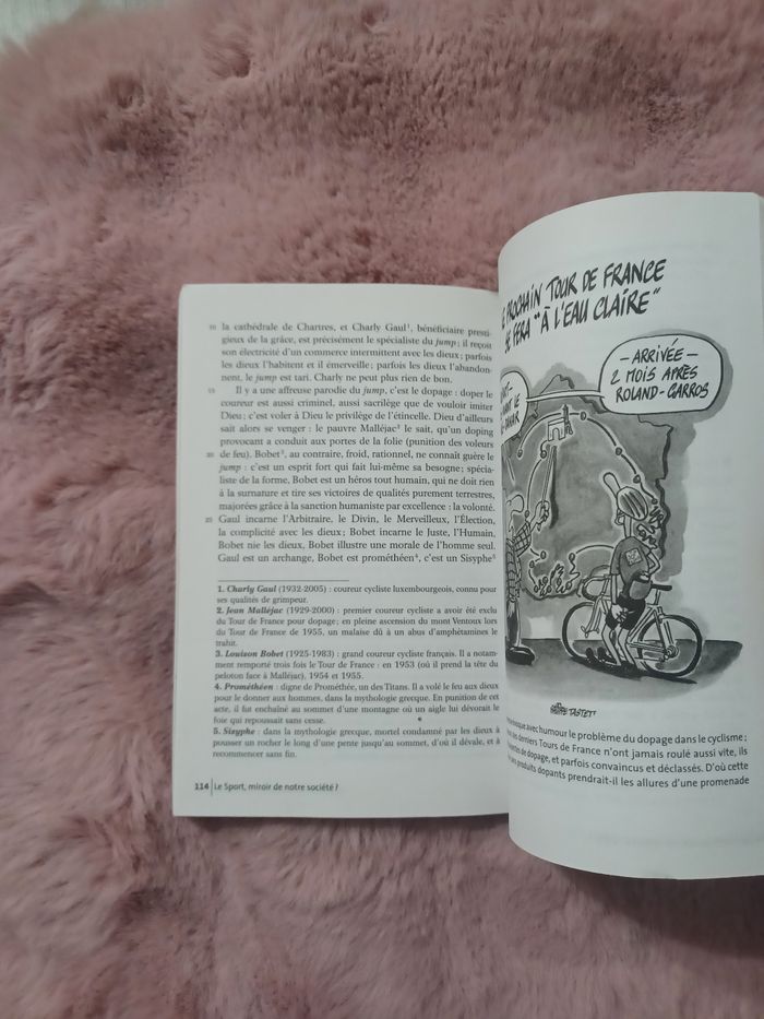 Livre: le sport, miroir de notre société - photo numéro 8