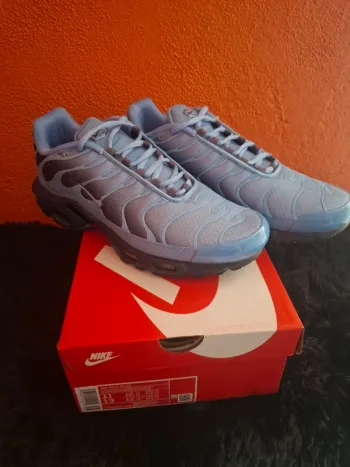 Basket tn blue