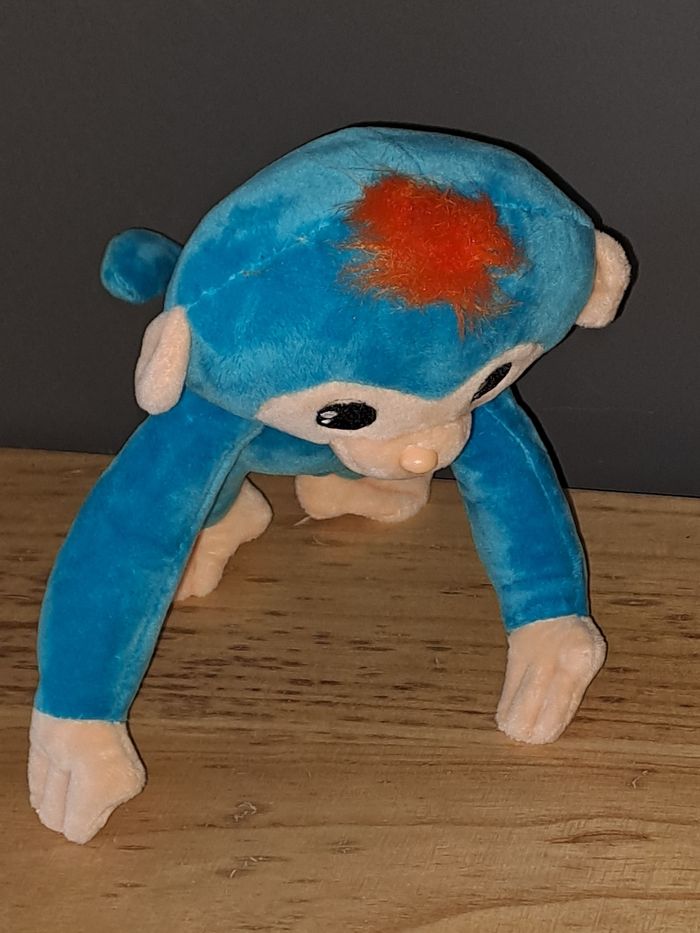 Singe très très jolie nouveau - photo numéro 6