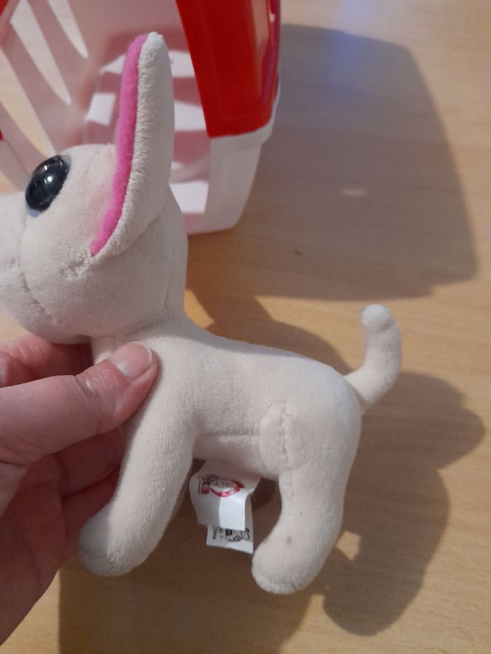 Chien avec caisse de transport - photo numéro 2