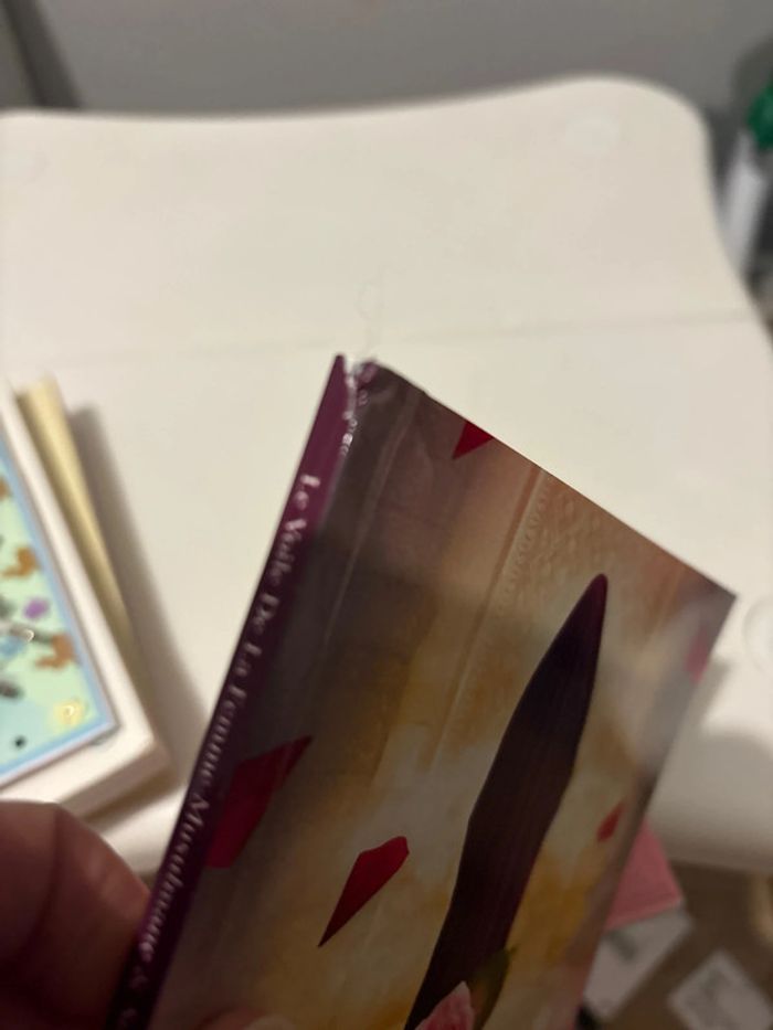 Livre Le voile de la femme musulmane - photo numéro 3