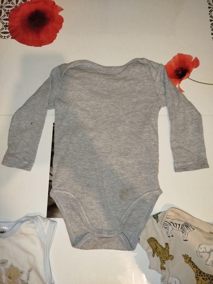 Lot body - photo numéro 5