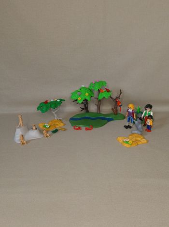 🦁 Playmobil Safari – Lot Mixte Aventure en pleine nature