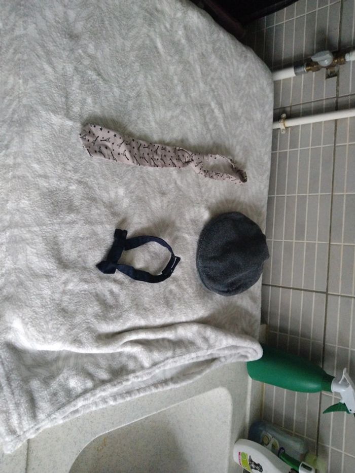 Ensemble cravate béret et noeud papillon