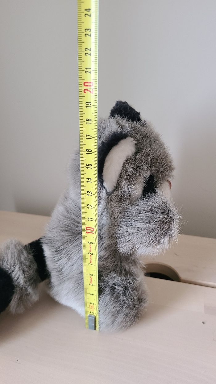 Raton laveur - photo numéro 5