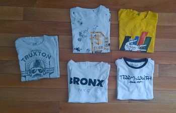 Lot de 5 t shirts tachés et troués 12 ans