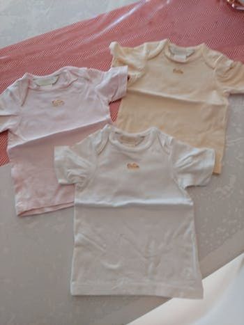 Lot de 3 tee shirt 3/6mois anne geddes