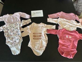 Bodies