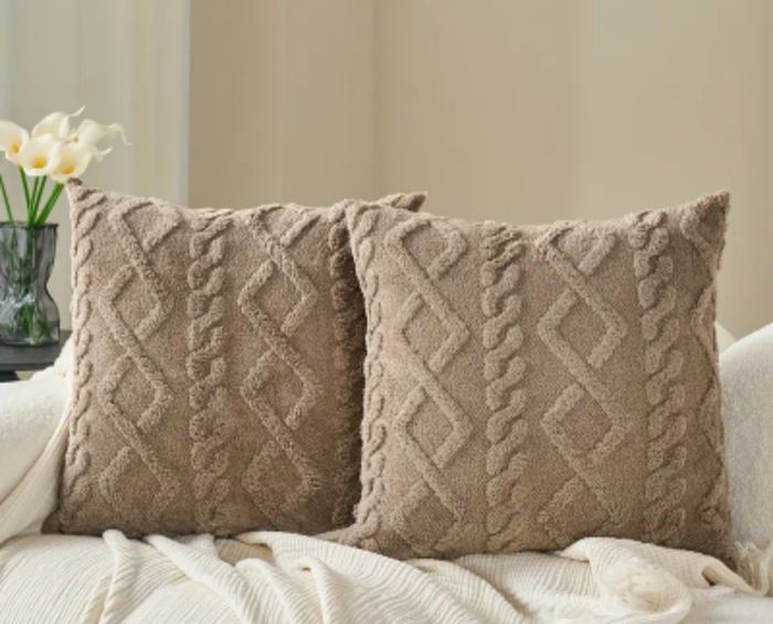 2 Housses de coussins