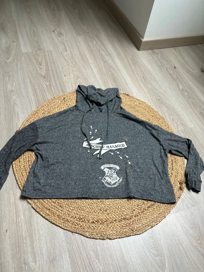 Pull Harry potter