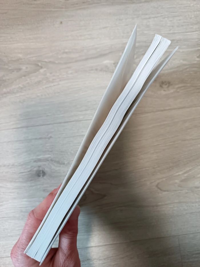 Fantasme et formation
René Kaës, Didier Anzieu, L-V Thomas - photo numéro 5