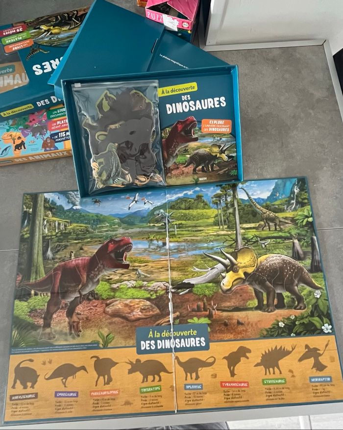 À la découverte des dinosaures - photo numéro 4