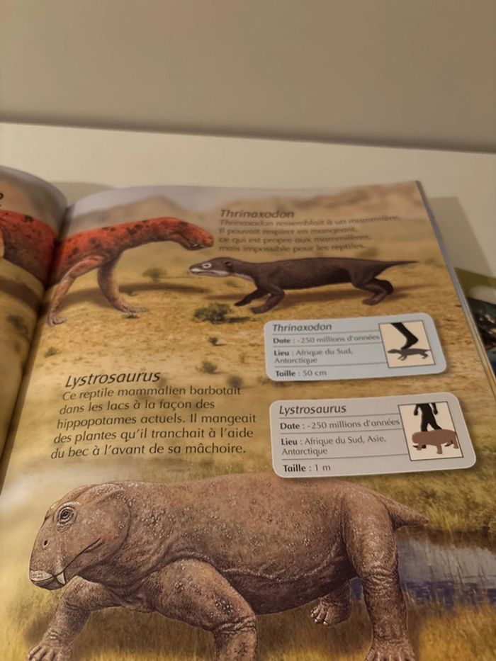 Livre ma première encyclopédie des dinosaures enfants neuf - photo numéro 4