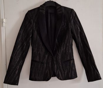 Blazer de fêtes à zébrures brillantes