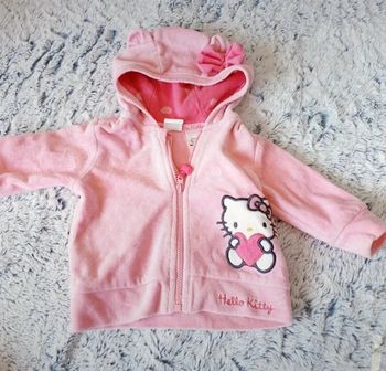 Veste hoodies velour