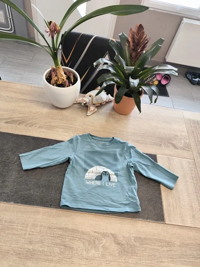 Tee-shirt garçon ml 18 mois obaibi