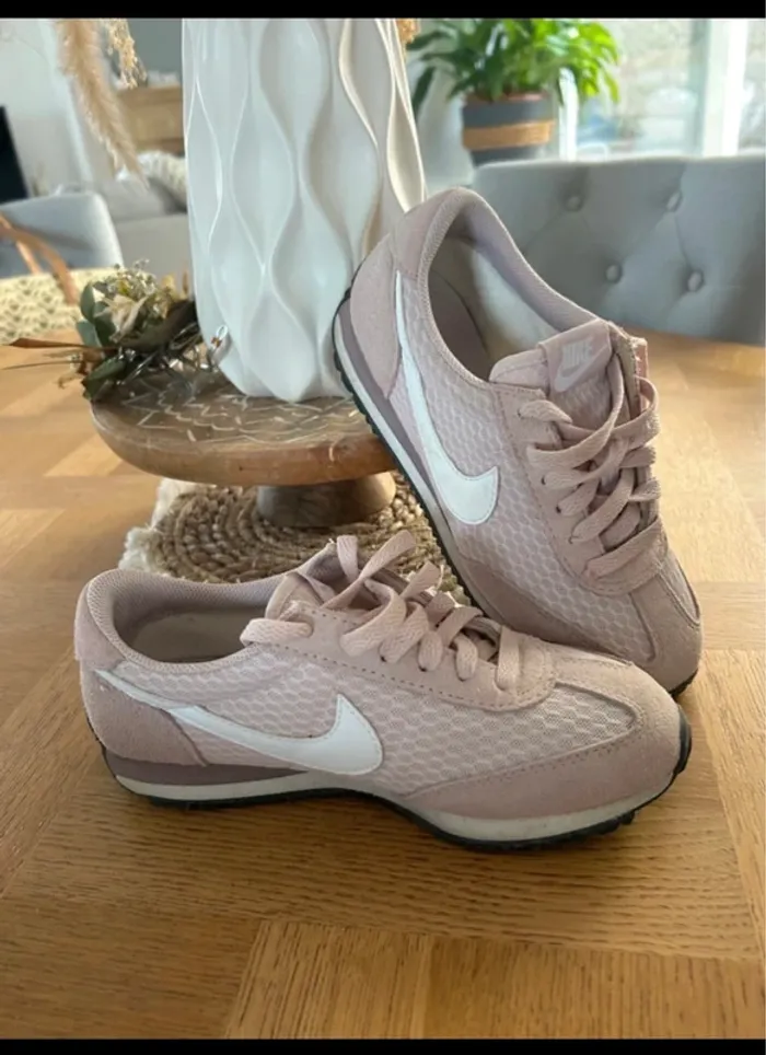 Jolie paire baskets ville Nike