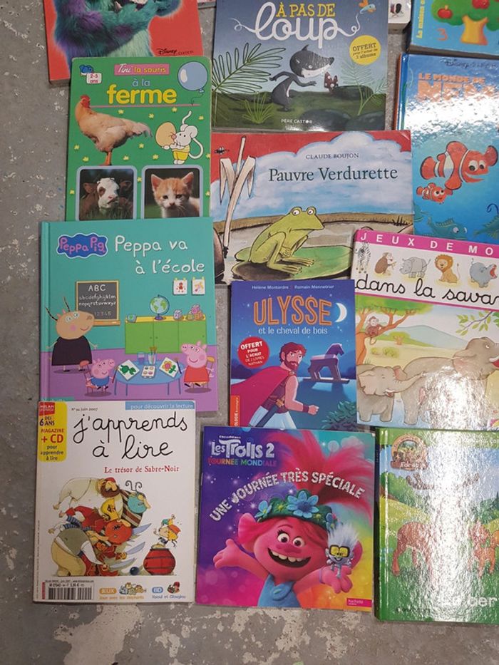 Livres - photo numéro 2