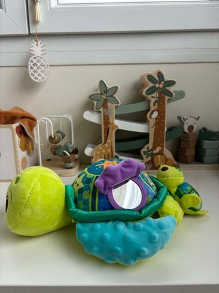 Juju la tortue - photo numéro 4