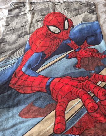 Plaid Spiderman 