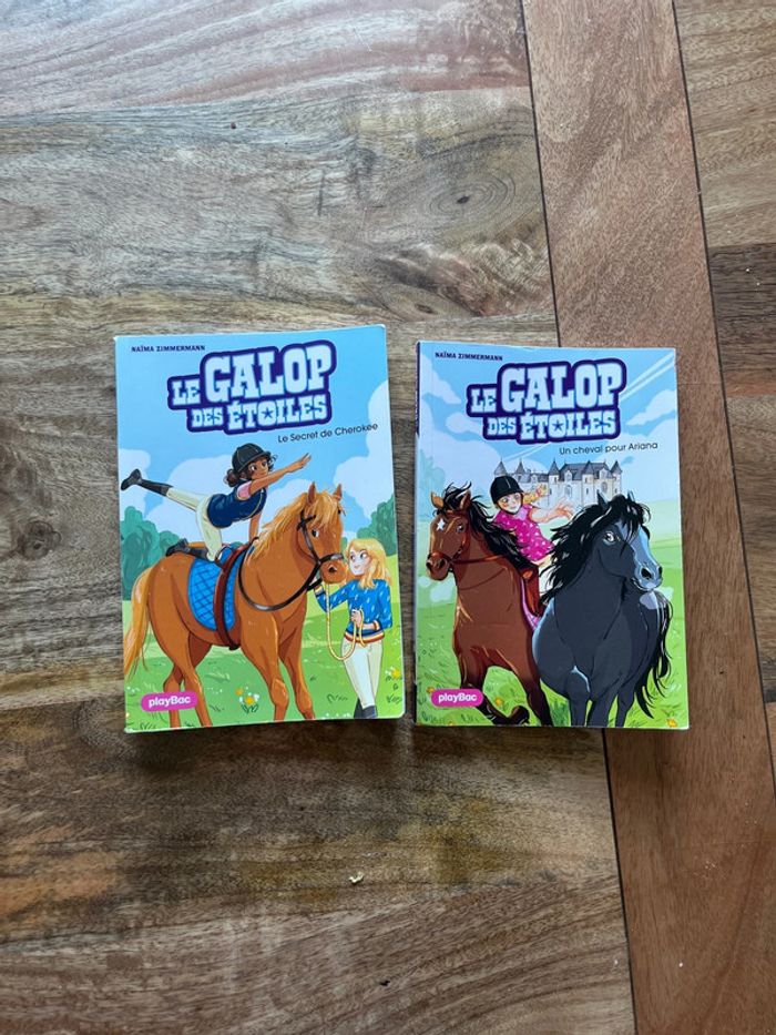 Lot livres thème chevaux/équitation - photo numéro 8