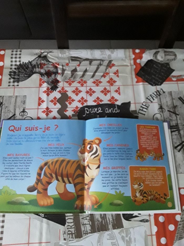 Livre enfant - photo numéro 3