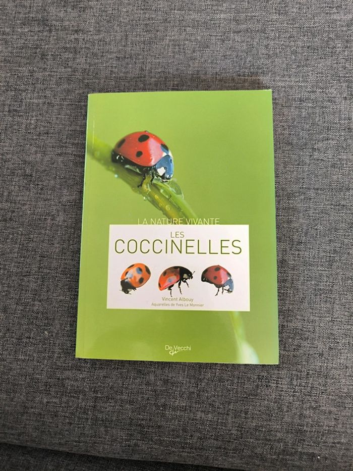 Les coccinelles