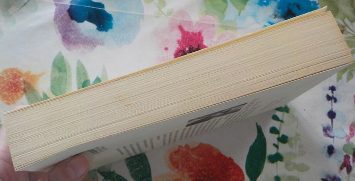 La carte et le territoire de Michel Houellebeck Ed. Flammarion - photo numéro 5