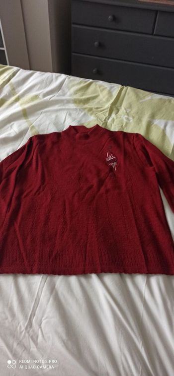 Pull rouge t. 38