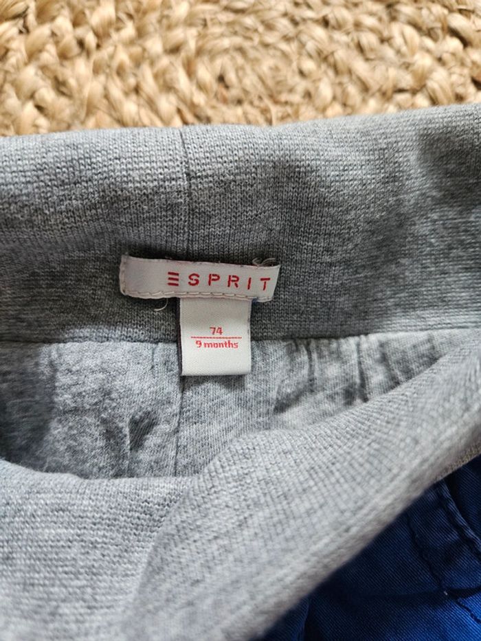 Pantalon bleu électrique Esprit 9 mois - photo numéro 5