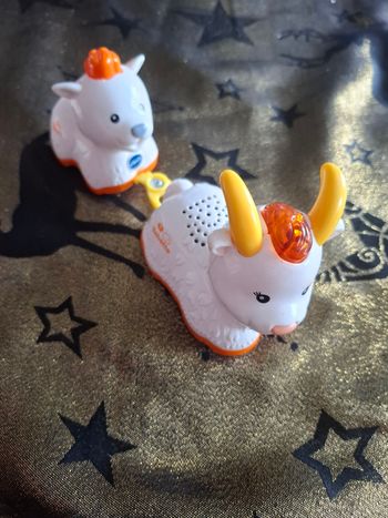 Chevre et chien tutu