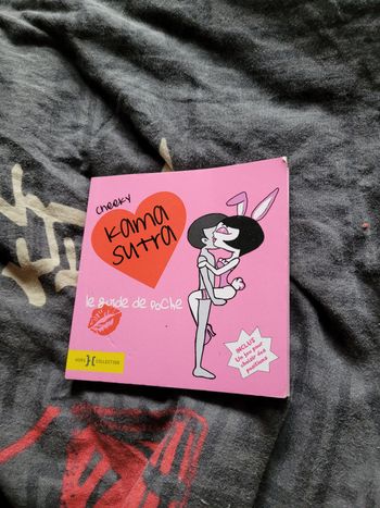 Cheeky Kama sutra le guide de poche