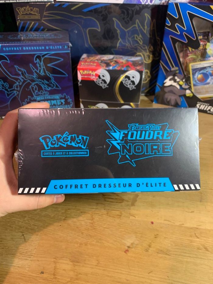 ETB Foudre Noire - photo numéro 3