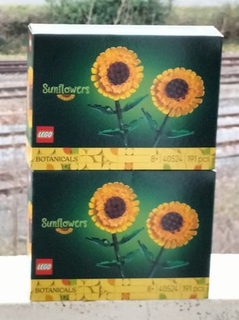 Lego lot de tournesols 